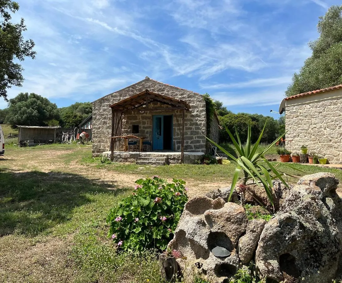 Appartamento Casacci Arzachena Italia